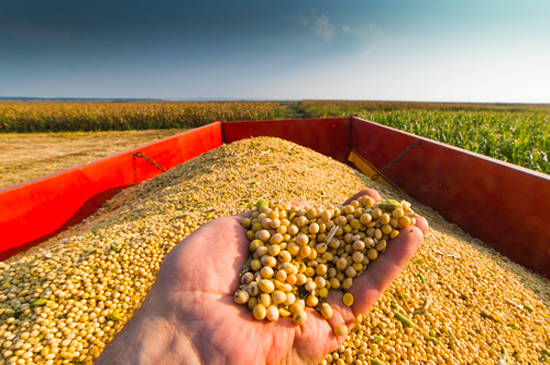 Soybean Oil (For import from Brazil/Argentina)